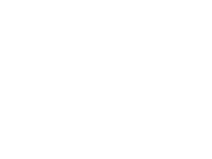 BlessSeeland Logo in Weiss